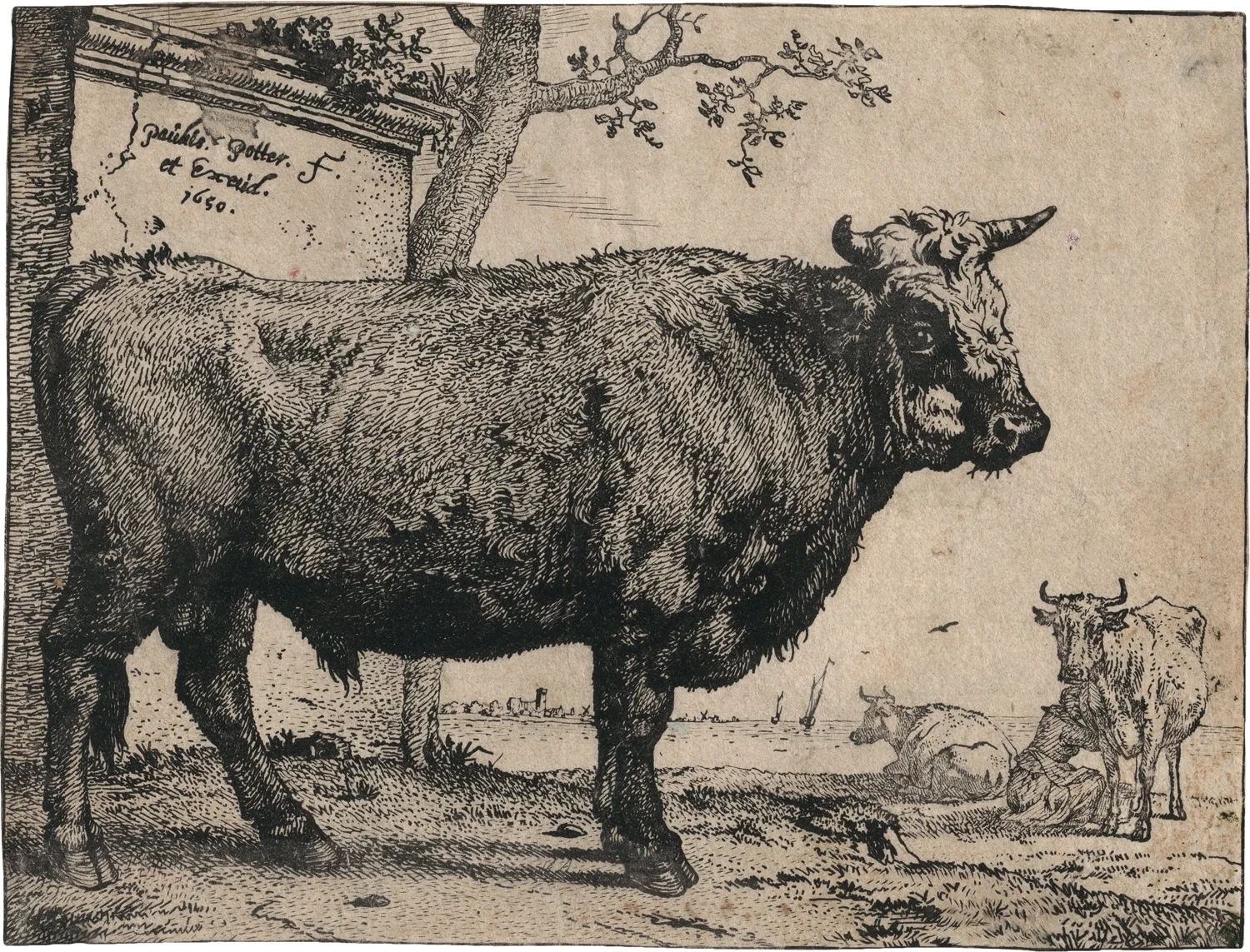 Buoi e mucche, 1650